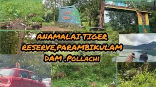 ANAMALAI TIGER RESERVE PARAMBIKULAM DAMPOLLACHI back to vizaganamalaitigerreservepollachi [upl. by Maribelle]