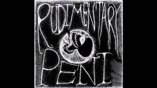 Rudimentary Peni  Live in London 1982 Full Concert [upl. by Rolat]