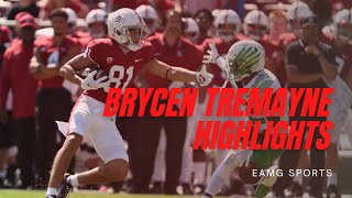 Stanford WR  Brycen Tremaynes Highlight Tape [upl. by Notkcorb730]