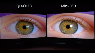 Samsung Odyssey OLED G8 G80SD vs Asus PG32UQX  32quot QDOLED vs MiniLED HDR Comparison [upl. by Burny]