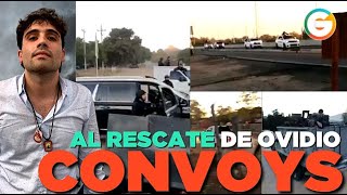 Convoys al rescate de Ovidio Guzmán Sinaloa [upl. by Aniroz]