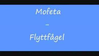 Mofeta  Flyttfågel [upl. by Ansev]