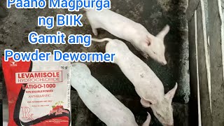 PANO MAG PURGA NG BIIK GAMIT ANG POWDER DEWORMERLATIGO 1000 [upl. by Yentroc]