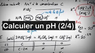 🧑‍🔬 Calculer un pH 24  cas dun ampholyte [upl. by Ennaylloh]