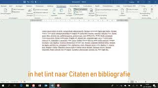 Instructie Bronnen beheren in Word 2016 [upl. by Curzon]