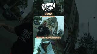 FOREVAYANAG  WIECZNE ODPOCZYWANIE MOPS SNIPPET [upl. by Birmingham]