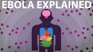 The Ebola Virus Explained — How Your Body Fights For Survival [upl. by Claudia551]