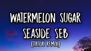 Watermelon sugar  Seaside SEB Tiktok Mashup quotHi baby do you wanna be minequot [upl. by Tiphany]