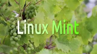 How to upgrade to Linux Mint Daily Builds [upl. by Esinet]