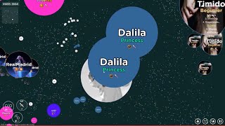 Mitosis The Game  Dalila Is Pretty [upl. by Aileno]