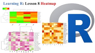 Lesson 8 heatmap statistical analysis in R basic [upl. by Allisirp]