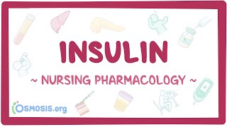 Insulin Signal Transduction Pathway👨‍⚕️ [upl. by Aseefan]