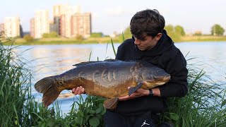 HOW to catch BIG OLD CARP  Walthamstow reservoirs [upl. by Rao95]