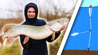 How To Catch Big River Pike  The Paternoster Rig [upl. by Eicram]