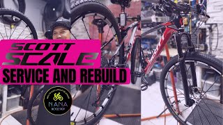 Scott Scale 29er Service And Rebuild mtb mtblife mtbmalaysia mtbservice cycling sports [upl. by Mailliwnhoj]