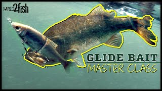 Glide Bait Bass Fishing 🐟  Everything You Need to Know ‼️ [upl. by Ainniz]