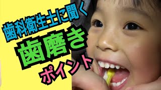 プロに聞く、子供の歯磨きの上手な方法 [upl. by Yeorgi]