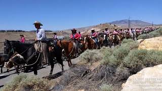 Reno Rodeo Association Cattle Drive June 17 2021 [upl. by Tessil]