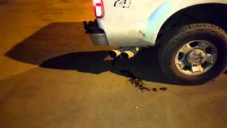 67 powerstroke dpf delete exhaust sound [upl. by Jenifer479]