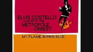 Episode Of Blonde  Elvis Costello With Lyrics [upl. by Aimik]