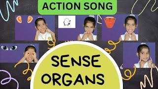 Action Song Of 5 Sense Organs EVS grade 1amp2 topic  easy remembrance of our sense organs [upl. by Retlaw]