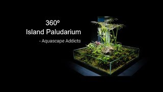 360º Island Paludarium  Aquascape Addicts [upl. by Vaios]