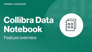 Collibra Data Notebook feature overview [upl. by Nilrev]