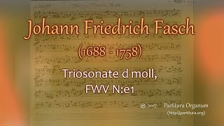 Johann Friedrich Fasch Triosonate d moll FWV N e1 [upl. by Rosalynd739]