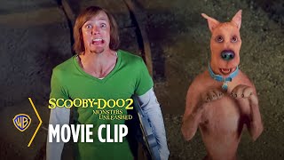 Top 10 Best ScoobyDoo Movies of All Time [upl. by Ssalguod378]