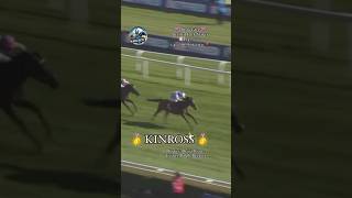 KINROSS wins in style in the Group 2 Betfred Park Stakes😎🏆👏 [upl. by Annawyt]