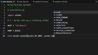 Creating a Simple Socket Server and Client in Python [upl. by Ttevi]