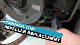 Ep 16 Yanmar 1GM Engine Impeller Replacement [upl. by Hughie]