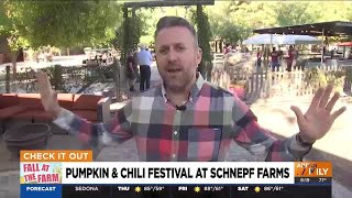 Explore pumpkin amp chili festival at Schnepf Farms in Queen Creek [upl. by Girardo]