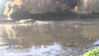 Liquami nel lago di Bolsena [upl. by Meesan207]