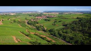 The vineyard of Bourgogne seen from the sky – Côte et Hautes Côtes de Beaune [upl. by Sorac63]