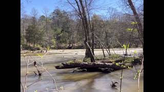 Nectar Falls Cleveland Alabama [upl. by Gussie739]