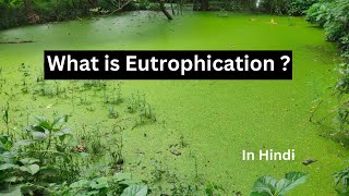 Eutrophication in hindi [upl. by Atterol]