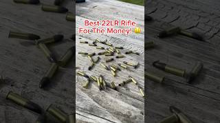 BEST 22LR Rifle To BUY [upl. by Terza807]