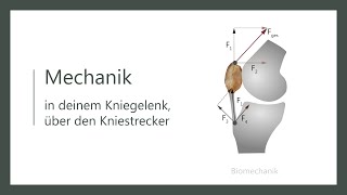 Wie funktioniert dein Knie  Biomechanik  Wirkweise des Quadrizeps  Kniestreckung [upl. by Auqinahs]