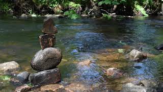 Walking Rivelin Valley in Sheffield [upl. by Weissmann]