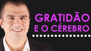 O SURPREENDENTE efeito da GRATIDÃƒO no cÃ©rebro [upl. by Andel854]