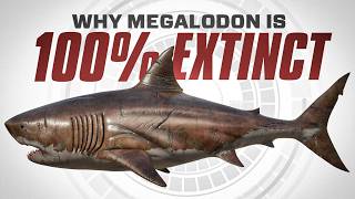 Why Megalodon is 100 EXTINCT [upl. by Boylston]