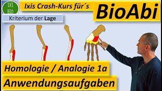 Homologe und analoge Organe Homologiekriterien Anwendungsaufgaben 1a ErläuternBegründen BioAbi [upl. by Rehpotsihc]