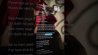 Tu aake dekh le  King   lyrics [upl. by Enaled]