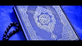 Al Quran full 30 juz 114 sura [upl. by Kenzie514]