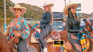 Gran Cabalgata en las Fiestas de Zarzal  Valle 😍 COLOMBIA 2024 [upl. by Nodnarbal]