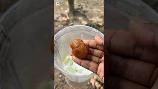 Cucumber milkshake 🥒🥒 cucumber milkshake food trending YourCookingVlog [upl. by Nelehyram42]