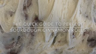 The Quick Guide to Perfect Sourdough Cinnamon Rolls [upl. by Ltihcox574]