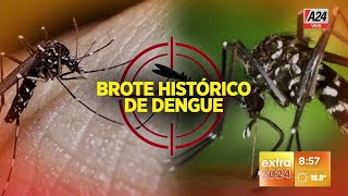 🦟🔴 BROTE HISTÓRICO DE DENGUE guardias colapsadas [upl. by Funda]