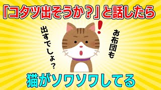 【2chほっこり】猫が「こたつ」という単語を理解していた！ [upl. by John201]